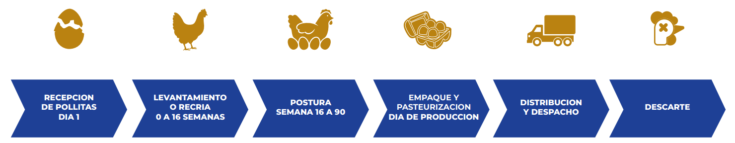 imagen_2025-12-15_163041437